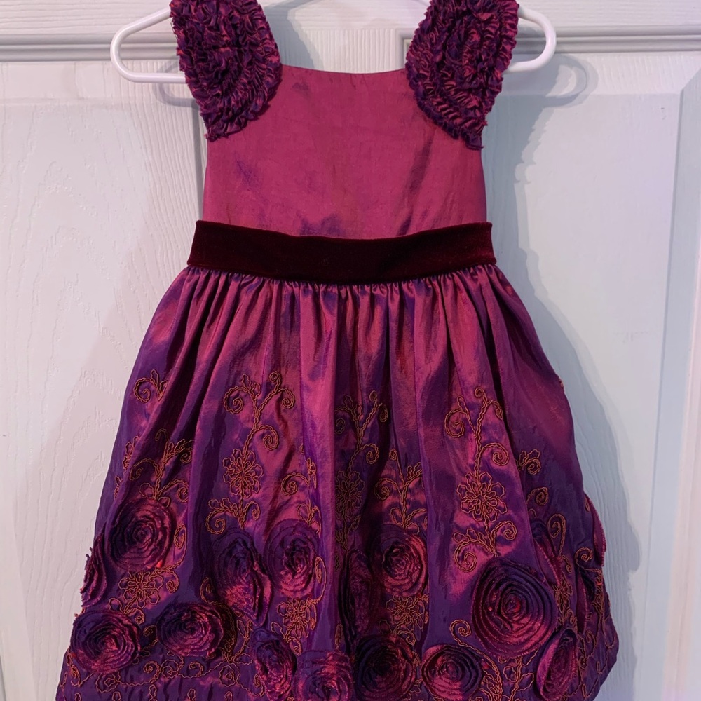 Gorgeous Purple color shifting Embroidered Dress w/ unique shoulder accents